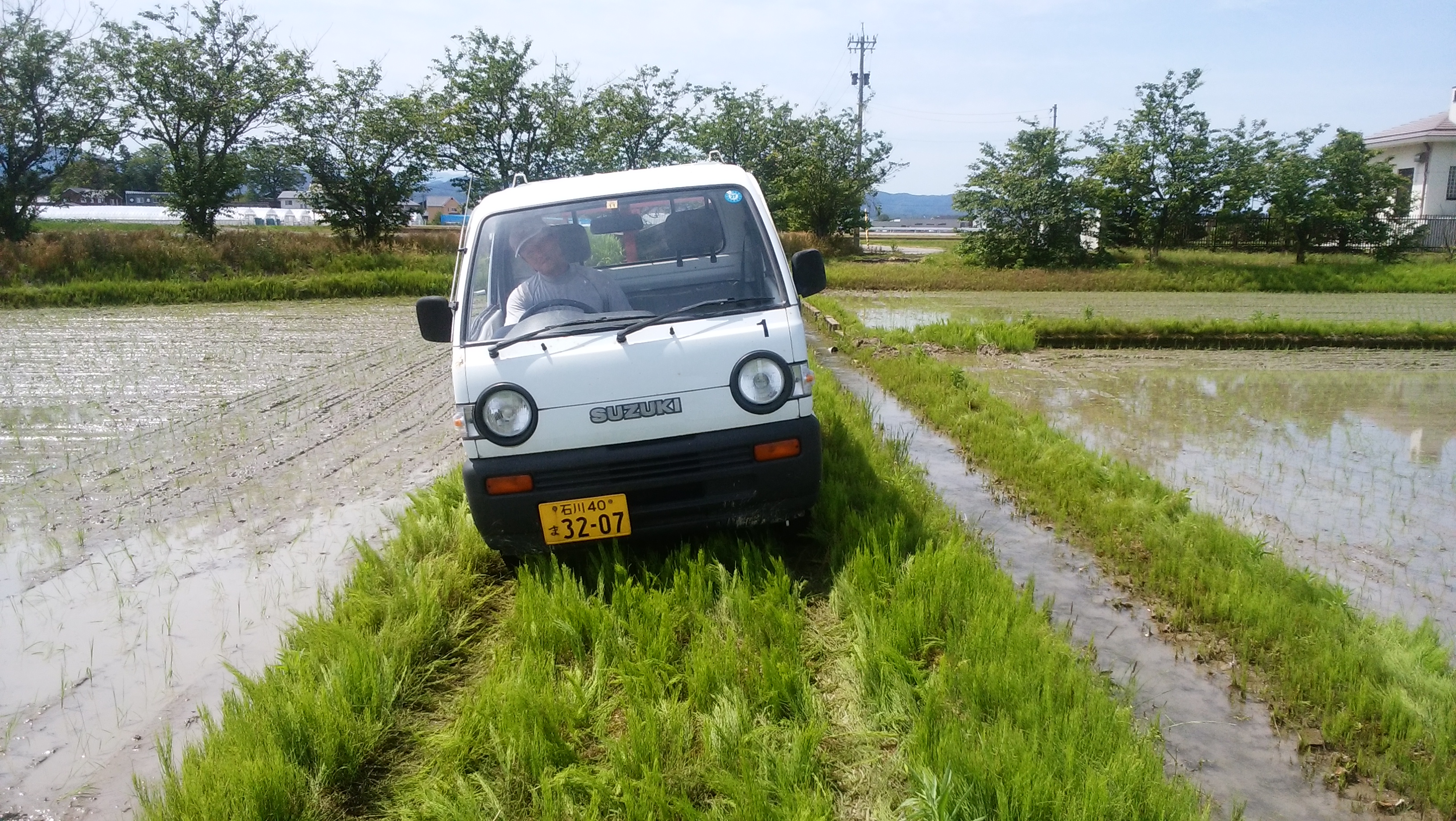 丸目の軽トラ今でもいいデザインだと思うとバタバタ