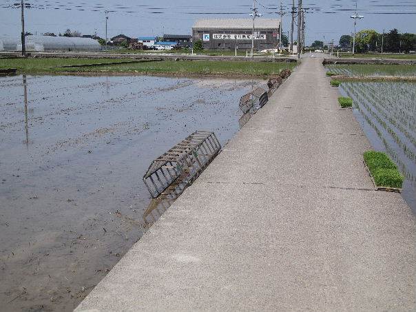 富陽小田植え