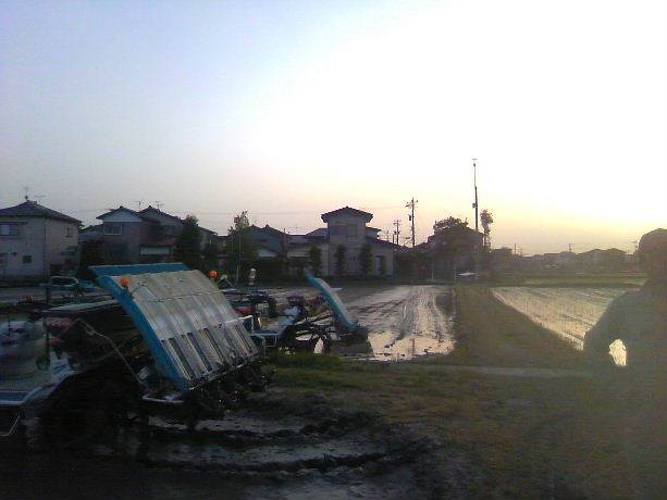 田植え