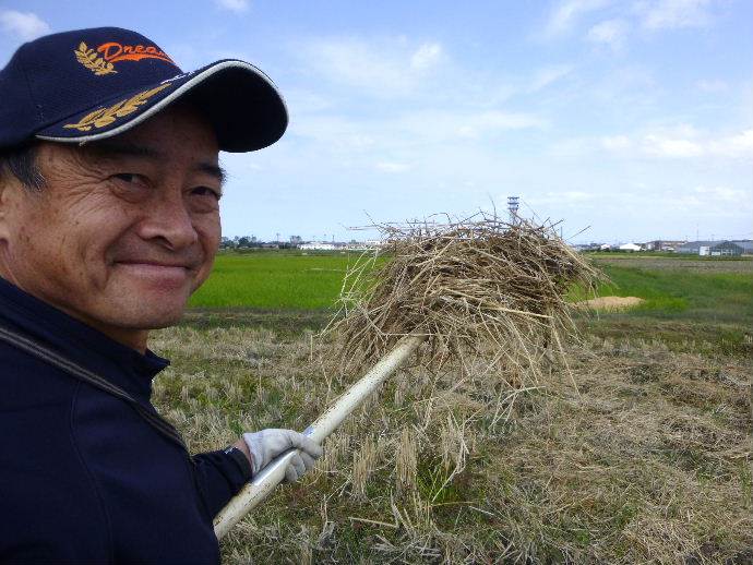 自然栽培田