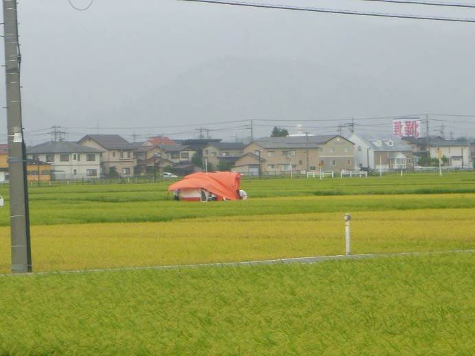 雨