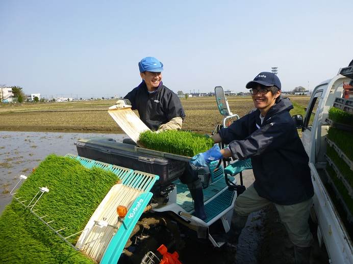 田植え開始