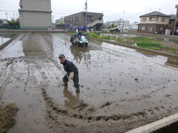 田植え下仕事