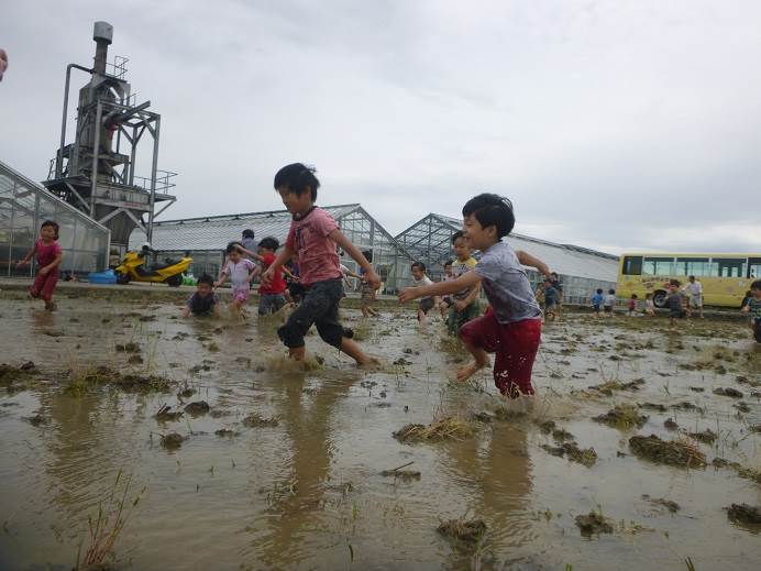 藤陰幼稚園