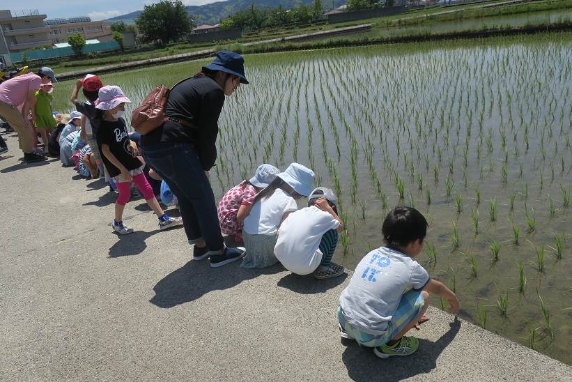 白銀幼稚園