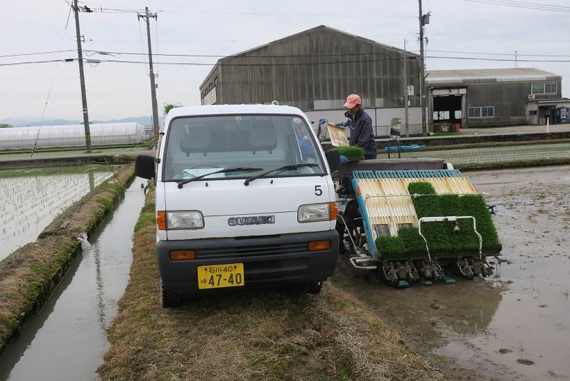 ハナエチゼン