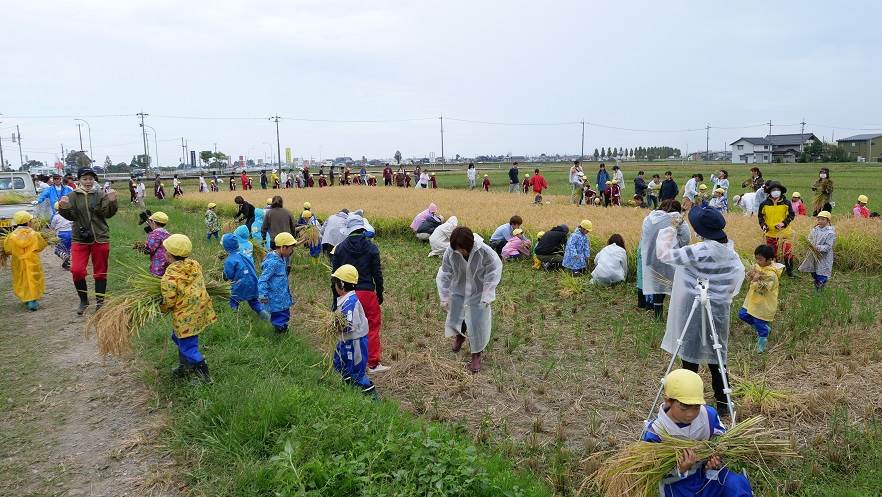 とくの幼稚園＆津端とくの幼稚園