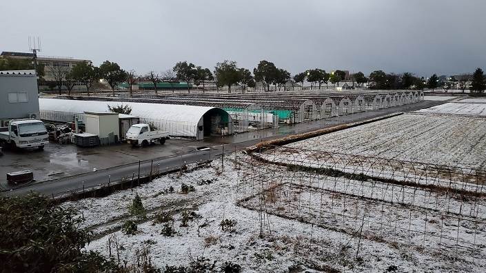 雪